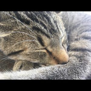 Meet your Posher, Jazmin